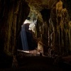Borneo - Gomantong Cave o1069